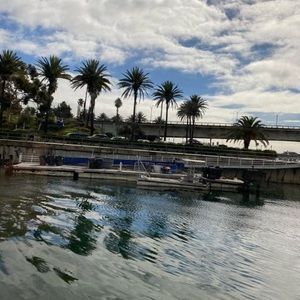 Meet your Posher, Jeannie